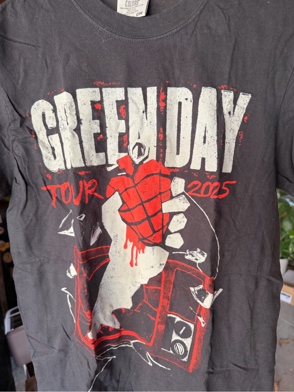 Comfort Colors Green Day Tour 2025 Tee with Red Grenade Graphic - bottlerock